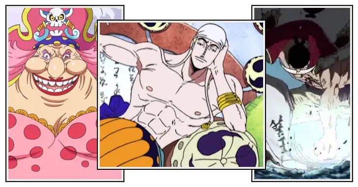 One Piece - Frutas do Diabo (Akuma no Mi) - Nova Era Geek