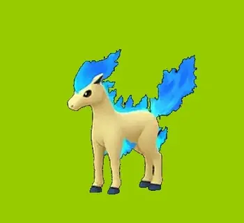 Imagem do item