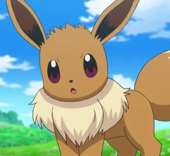 Imagem do item