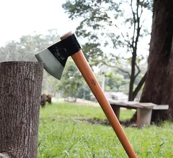 Imagem do item
