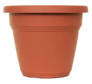 Imagem do item
