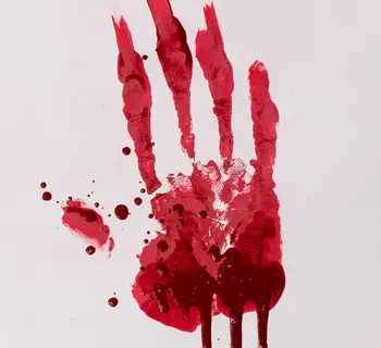 Imagem do item