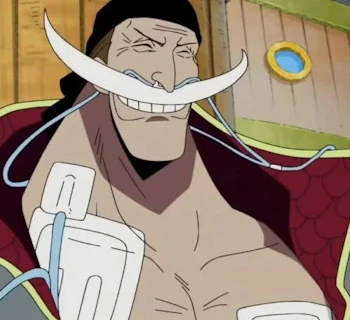 Qual personagem de one piece vc seria (confia)