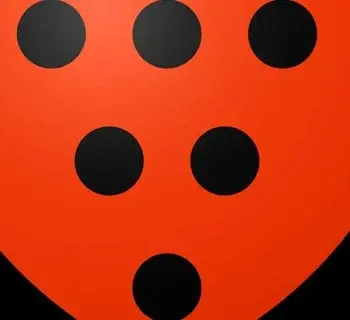 Imagem do item