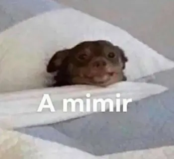 Imagem do item
