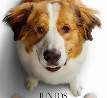 Imagem do item