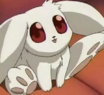 Imagem do item
