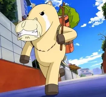 Imagem do item
