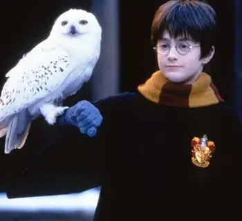 Imagem do item
