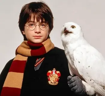Imagem do item
