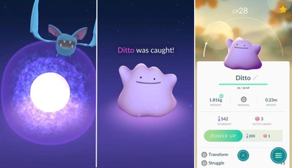 Completei a Pokédex (Ditto)