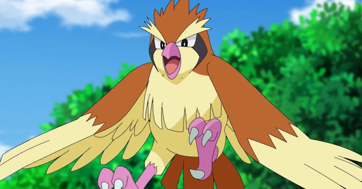 Pokémon Brasil - -Ryu Qual seu pássaro favorito? Eu
