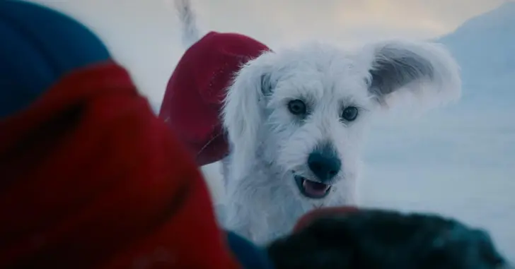 Superman aparece dando bronca em Krypto em nova imagem oficial do filme