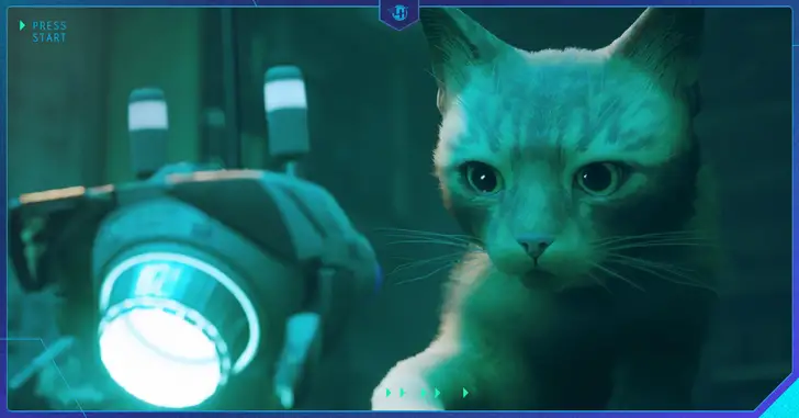 Stray: Conheça o gato que inspirou o protagonista do game - Millenium