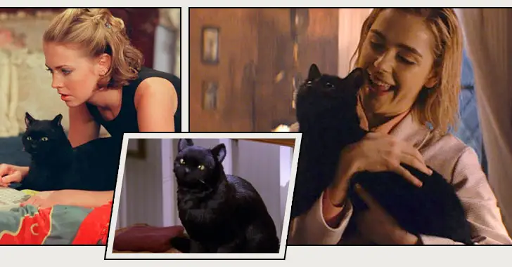 Salem, el gato parlante de Sabrina