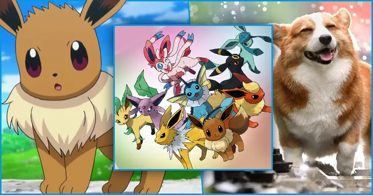 Curiosidades Pokémon: Eevee e Espeon - Pokémothim