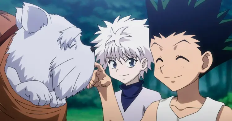 Que personagem você seria em Hunter x Hunter