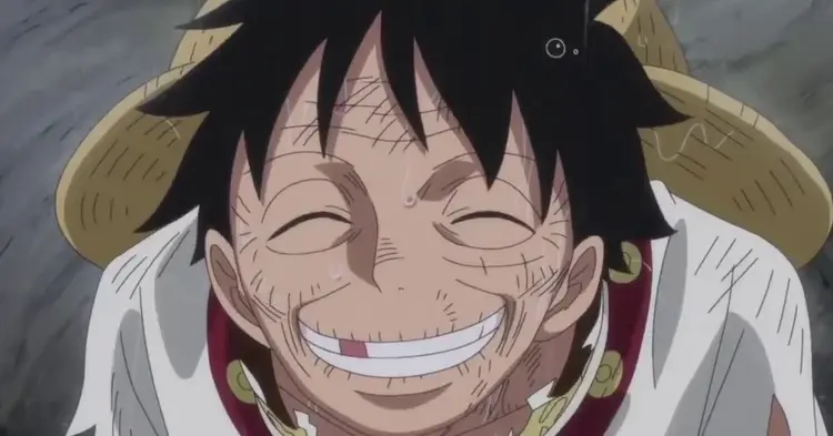 Qual personagem de one piece vc seria (confia)