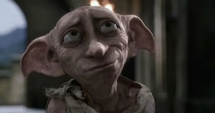 Quiz - Duvidamos que você saiba se estas afirmações sobre Dobby de