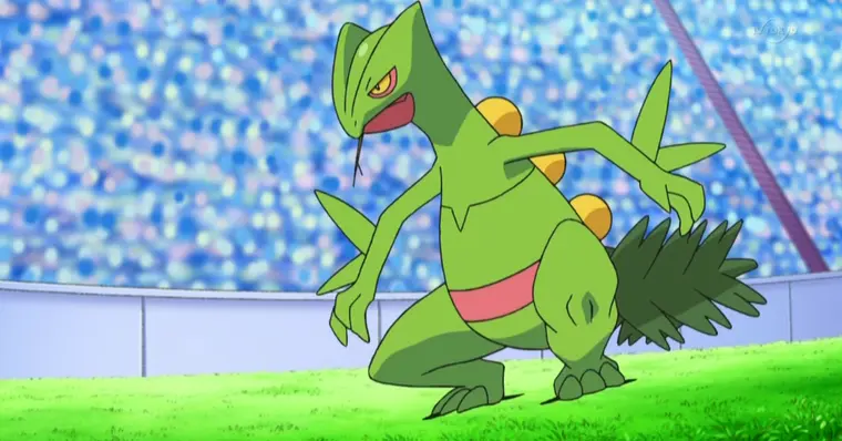 Pokémon Treecko Emerald Sceptile Grovyle, outros, folha, outros png