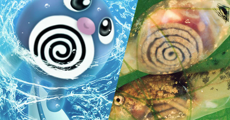 Arte imaginando Pokémons inspirados em vários elementos da cultura