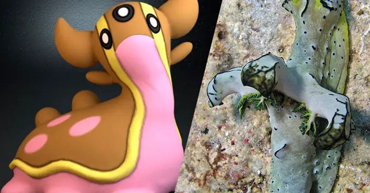 Pokémons da vida real: animais e plantas que inspiraram a série
