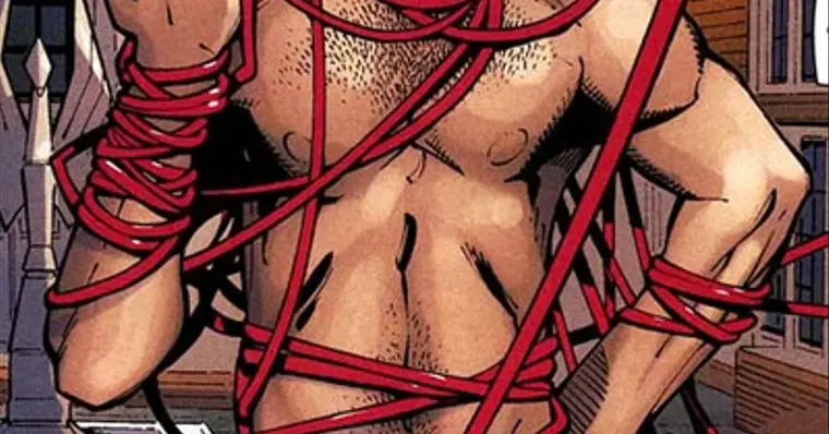 Imagem de capa do item