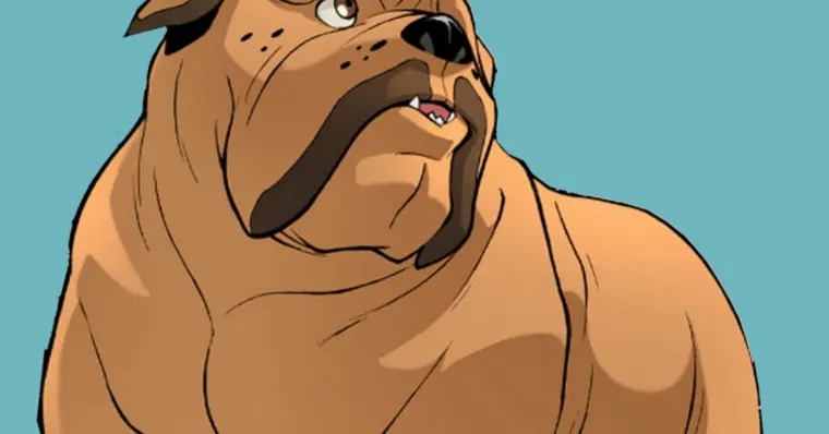 Imagem de capa do item