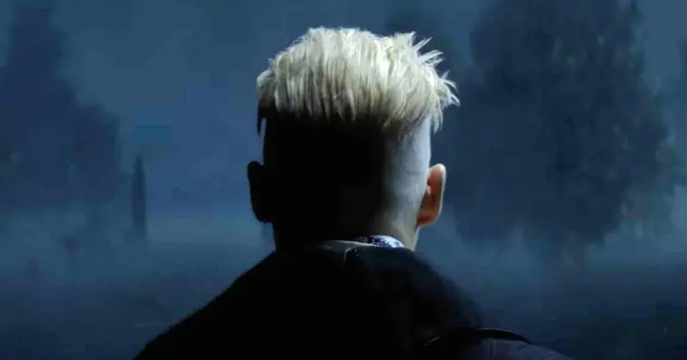 Imagem de capa do item