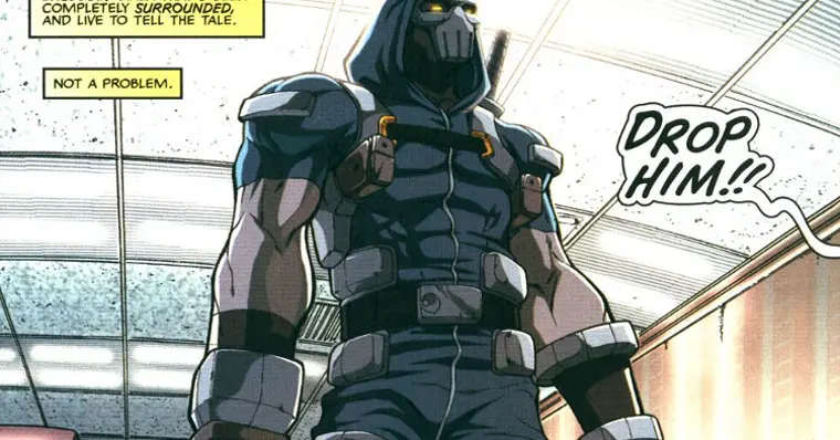 Imagem de capa do item