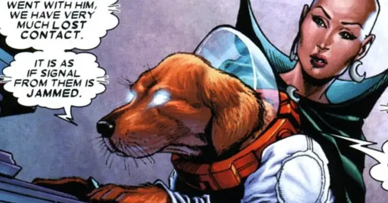 Imagem de capa do item