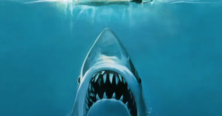 Imagem de capa do item