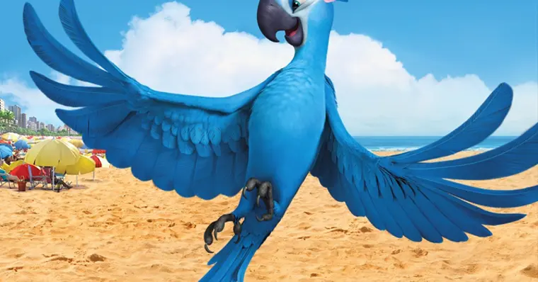Imagem de capa do item