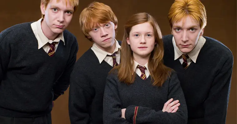 Imagem de capa do item