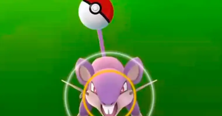 Imagem de capa do item