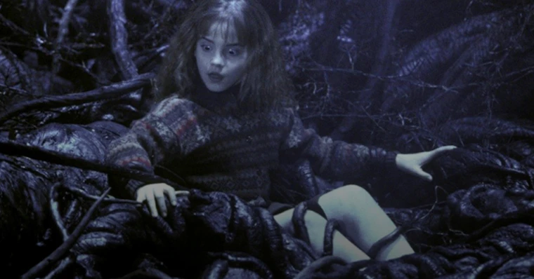 10 Vezes em que Hermione se mostrou uma Bruxa Formidável!