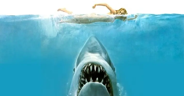 Imagem de capa do item