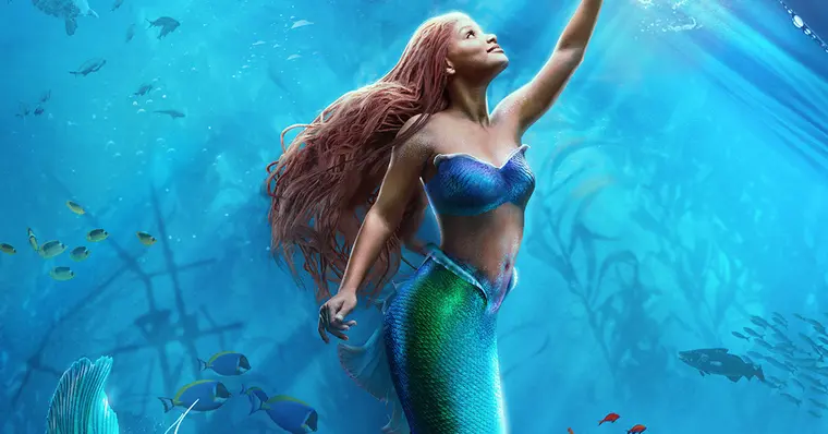 Imagem de capa do item