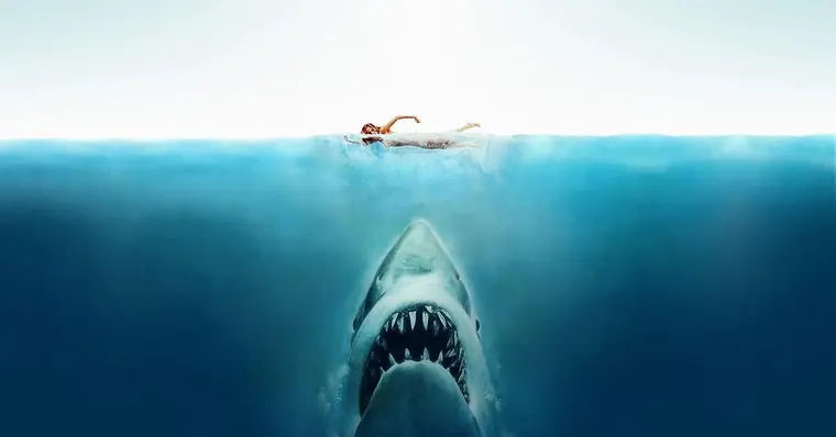 Imagem de capa do item