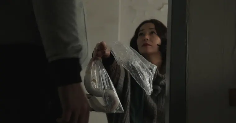 Imagem de capa do item