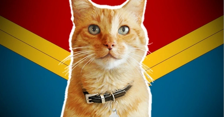 Gato zueiro das Galaxias