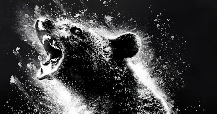 O Urso do Pó Branco (2023) - Pôsteres — The Movie Database (TMDB)